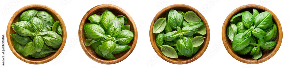 Fresh Basil Leaves in a Wooden Bowl, PNG set Fresh Basil Leaves in a Wooden Bowl, PNG set