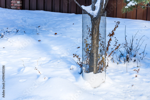 Metal guard net for  tree bark protection from  animal damages in winter season