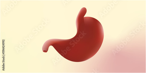 human stomach 3d illustration in background