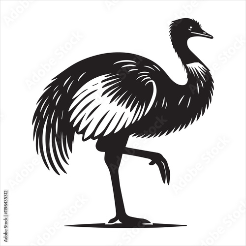 Greater Rhea Flightless Bird Vector Illustration for Educational Use
