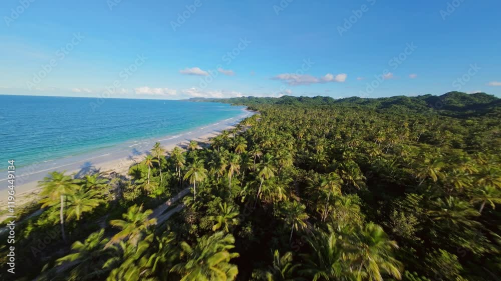 Aerial flyover palm tree plantation along coastline of Playa Rincon with sandy beach and ocean. FPV Drone shot of caribbean sea at sunset. Wide shot. Aerial flyover palm tree plantation along coastline of Playa Rincon with sandy beach and ocean. FPV Drone shot of caribbean sea at sunset. Wide shot.