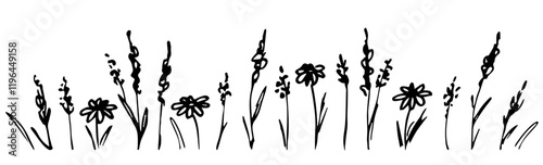 Set of floral elements, wild herbs, wildflowers, forbs, blades of grass, long stems, meadow plants. Simple vector drawing with black outline. Sketch in ink.