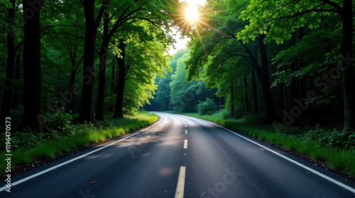 Sunlit Asphalted Road Winding Through Lush Green Canopy