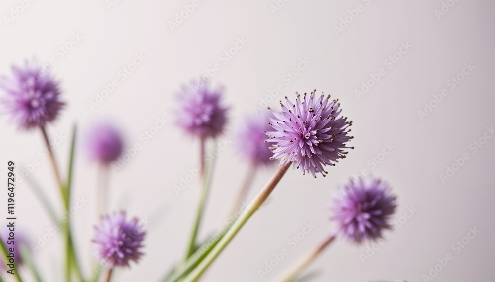Fototapeta premium Purple flowers on blurred light background