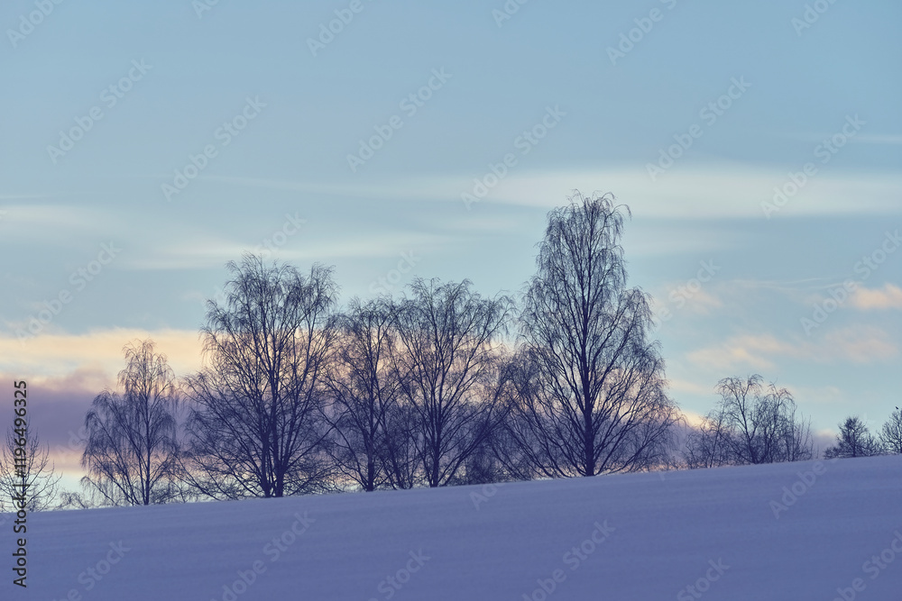 Photography from the landscape along former Skreiabanen Railroad between Lena and Kolbu, Toten, Norway, a day of January 2025.