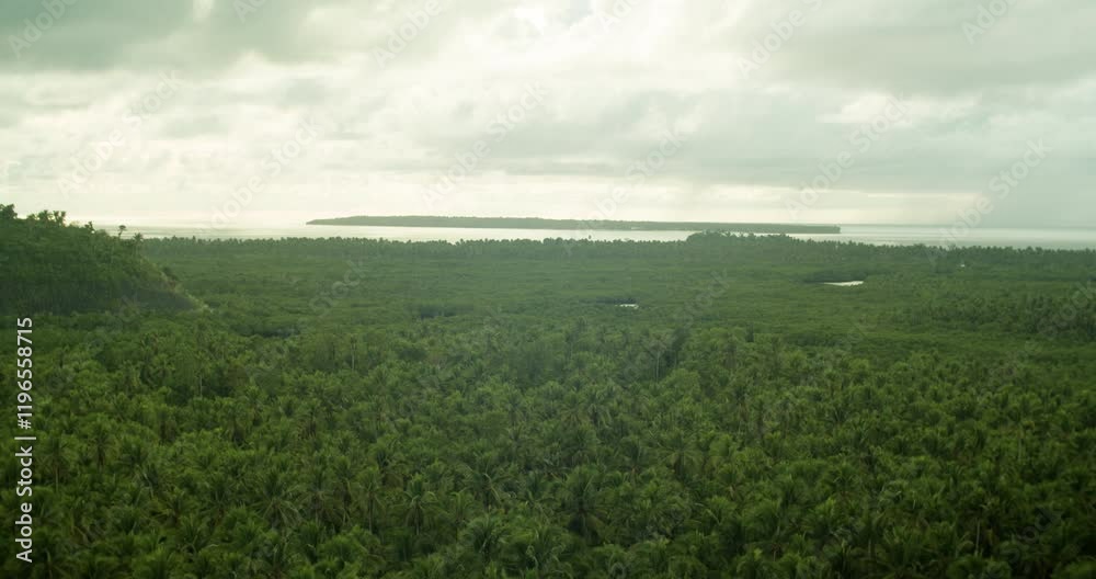 Swathes of land occupied by a coconut plantation with a view of the sea from afar in Siargao island, Philippines. Swathes of land occupied by a coconut plantation with a view of the sea from afar in Siargao island, Philippines.