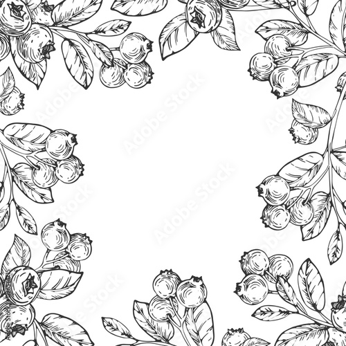 Dog bilberry vector black and white frame hand drawn with ink. Border with leaves, berries of raspberry on a white background. Template for label design
