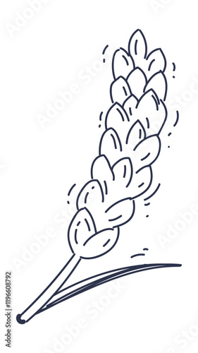 Illustration of a wheat ear symbolizing wholegrain nutrition.