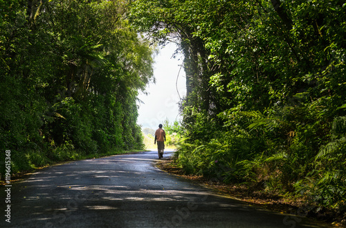 Obraz na płótnie Man walking on road through a tree tunnel. Taranaki. New Zealand. w salonie