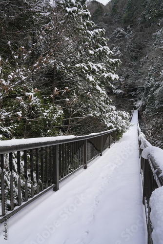 雪降り積もるみたらい渓谷哀伝橋 photo