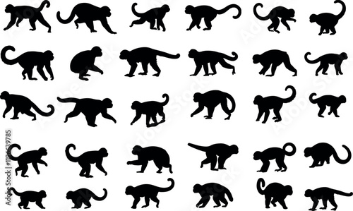 Capuchin Monkey Silhouettes Collection, Black Vector Designs of Intelligent Primates