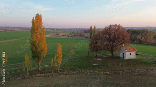 Trees in the field of autumn, Slovakia  photo