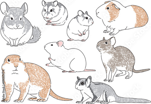 様々な人気のネズミのイラストセット