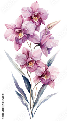 Orchid Flowers Watercolor isolated on white background. Beautiful flower decorative vector illustration