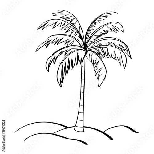 Coconut tree