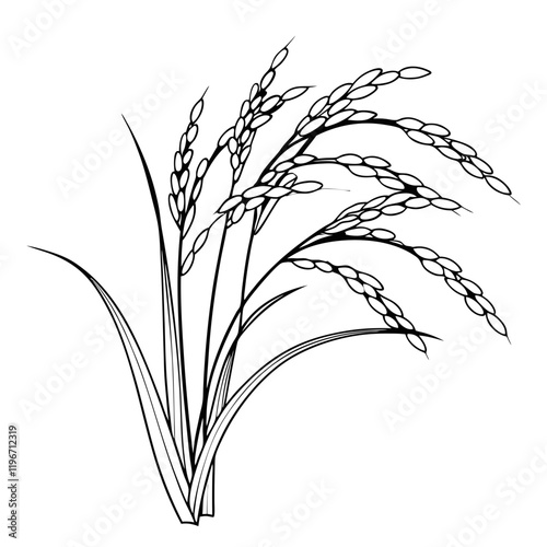 Rice plant