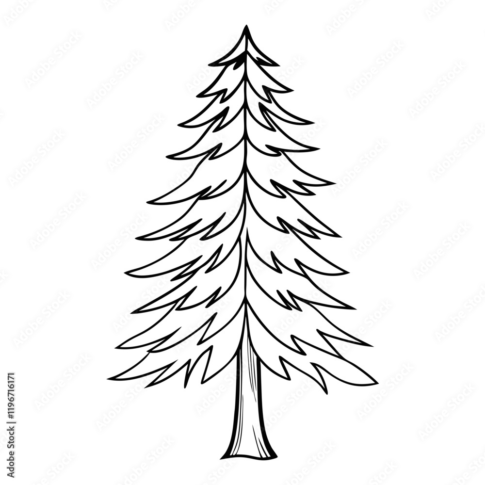 Obraz premium Pine tree