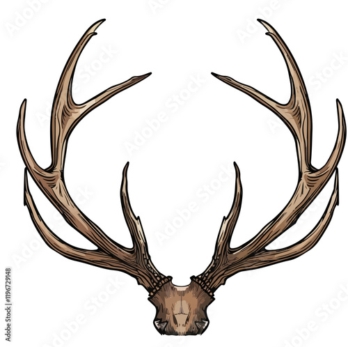Geweih, Hirsch, Reh, Outdoor - Vektor