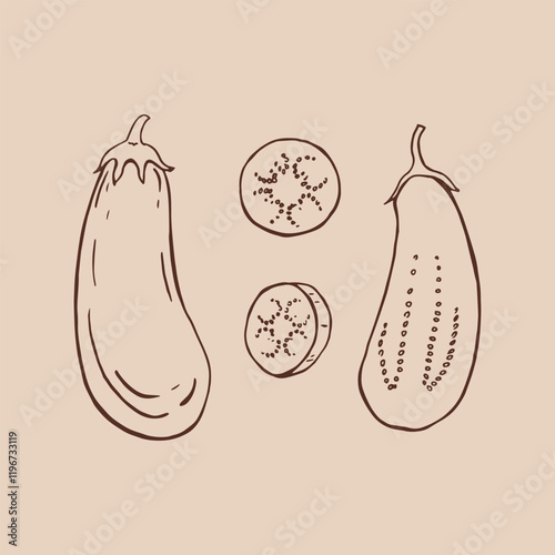 Set of eggplant. Hand drawn vector illustration.