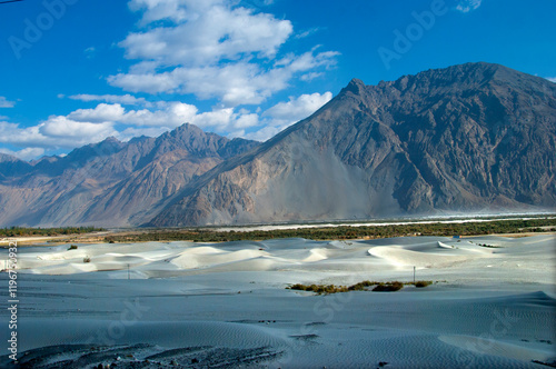 Sand dunes in Nubra valley in Himalayas. Hunder, Nubra valley, Ladakh