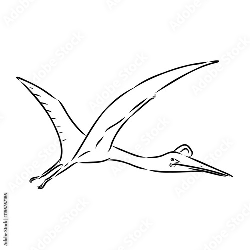 ajarhid, vector sketch flying dinosaur - black and white vector illustration