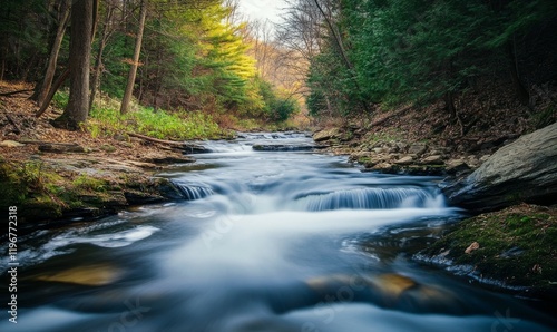 choosing from images stream