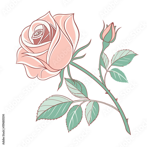 
rose with leaves silhouette vector illustration white background.
 photo