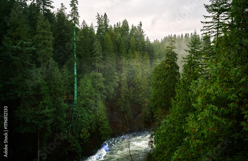 Mountain river in the rainforest of the Pacific coast of Canada. Capilano Suspension Bridge Park. North Vancouver. Canada photo