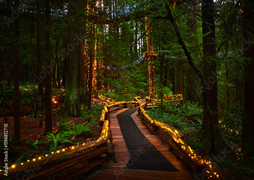 Christmas lights on tall old grow trees. rainforest of the Pacific coast of Canada. Capilano Suspension Bridge Park in December. North Vancouver, Canada