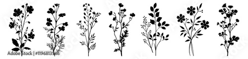 PNG Botanical silhouettes for natural elegance, element set on transparent background photo