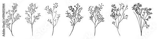 PNG Silhouettes of delicate botanical branches, element set on transparent background photo