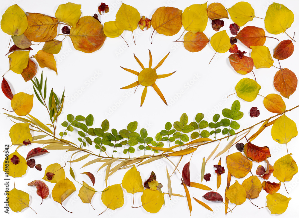 Fototapeta premium A leafy collage with a sun in the center