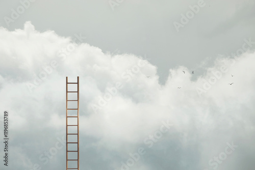 ladder that extends to the sky among the clouds