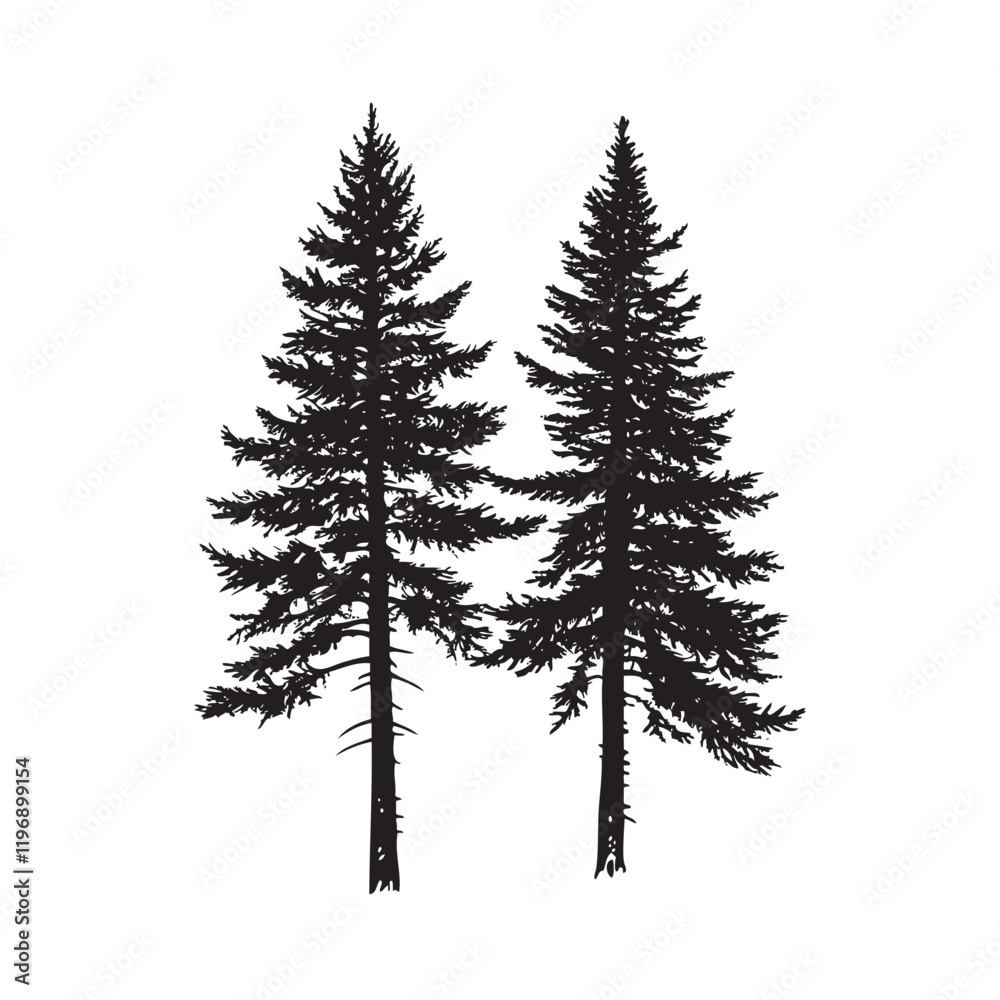 Fototapeta premium pines tree