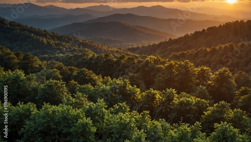 sunrise in the mountains . A scenic landscape shows a rolling mountain range covered with a dense green forest