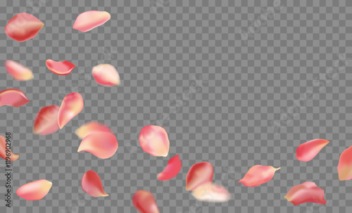 Red rose and cherry blossom falling sakura petals on fake transparent background, isolated special effect. Vector illustration in eps format. Elements for Valentine's Day, Mother's Day, March 8. Love.