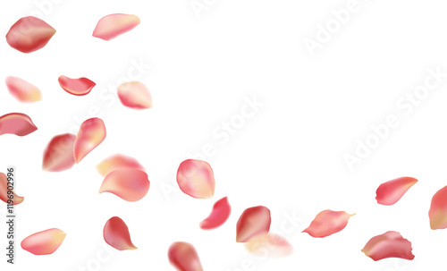 Red rose and cherry blossom falling sakura petals on fake transparent background, isolated special effect. Vector illustration in eps format. Elements for Valentine's Day, Mother's Day, March 8. Love.
