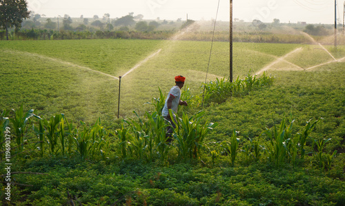 Bild auf Leinwand Indian farmer working in green chickpea garden