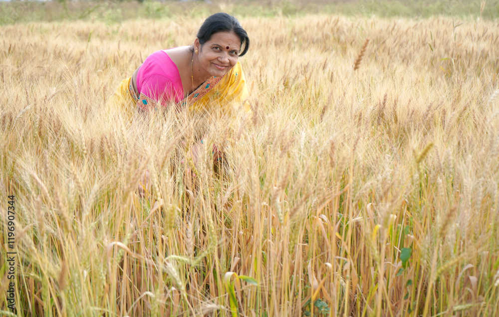 Beautiful young Indian woman wear in saree at the wheat field Beautiful young Indian woman wear in saree at the wheat field