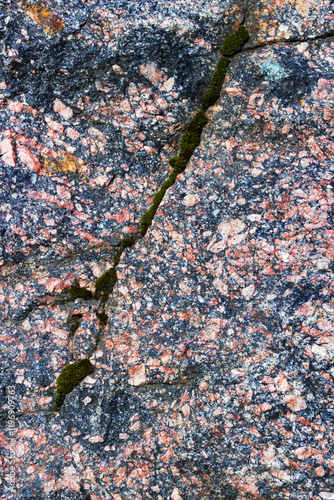Structure pink granite with a split moss-grown