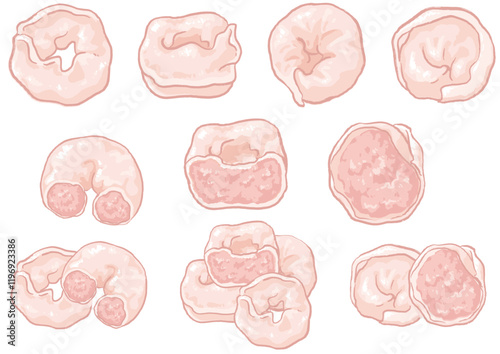 Ilustration of fish dumplings_raw