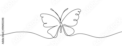 Butterfly spreads its wings, line art, vector on transparent background.