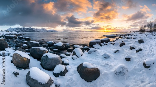 Snowy Beach with Frozen Rocks