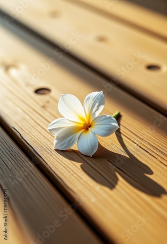 delicate white flower photorealistic minimalism nature vaporwave elegant 8K copy space