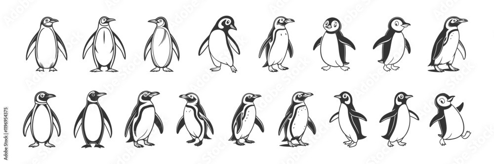 Obraz premium Penguin Vector Art & Illustration