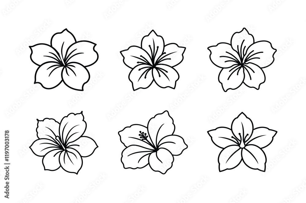 Fototapeta premium set of flowers vector