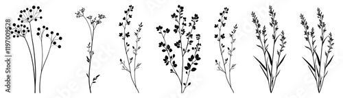 Wallpaper Mural PNG Botanical silhouettes of wildflowers set, isolated on transparent background Torontodigital.ca