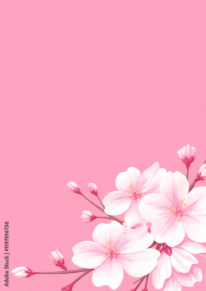ピンクの桜の背景イラスト - 春のフラワーデザイン