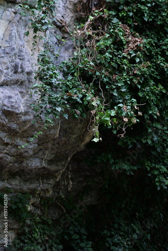 Felsiger Wanderweg entlang Felswand, Efeu, Ranken
