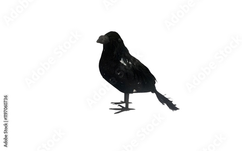 A black bird figurine isolated against white background photo